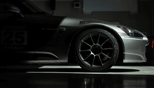 rival plus family showcase